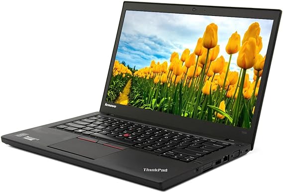 Laptop Lenovo ThinkPad T450 14in HD, Intel Dual-Core i5-5300U Up to 2.9GHz, 8GB RAM, 256GB
